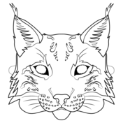 Lynx coloring pages free coloring pages