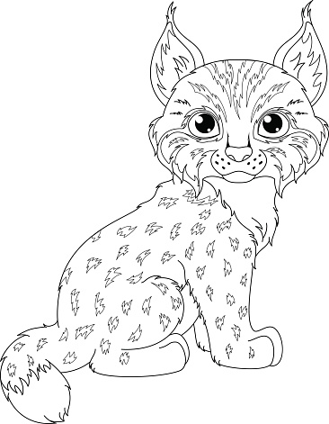 Lynx coloring page stock illustration