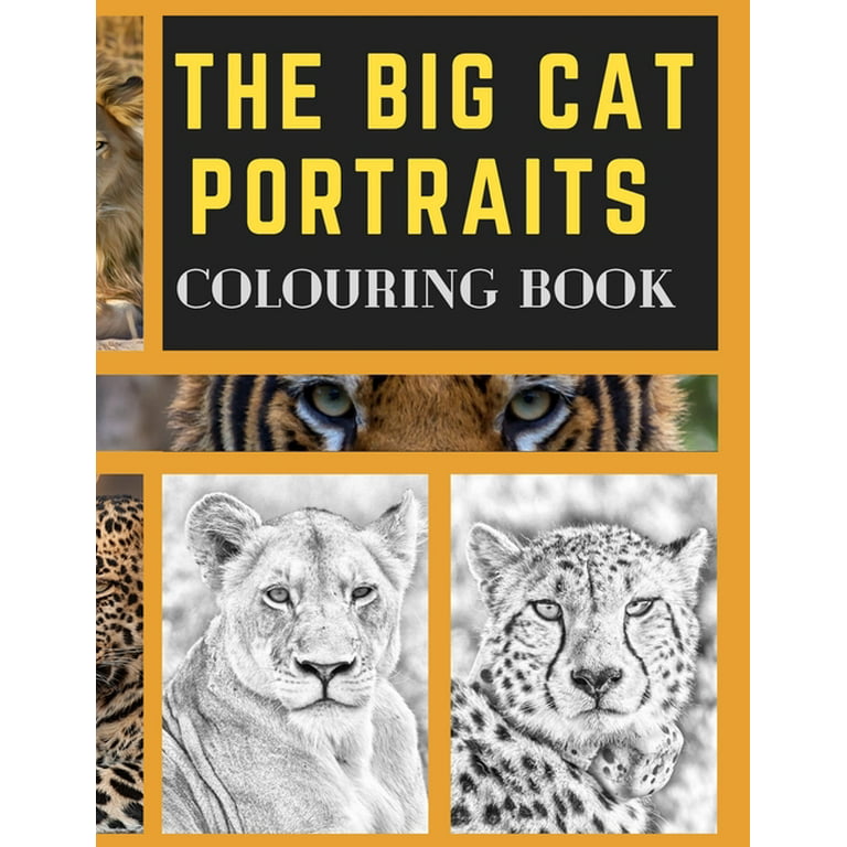 The big cat portraits colouring book grayscale realistic big wild cats animal colouring book