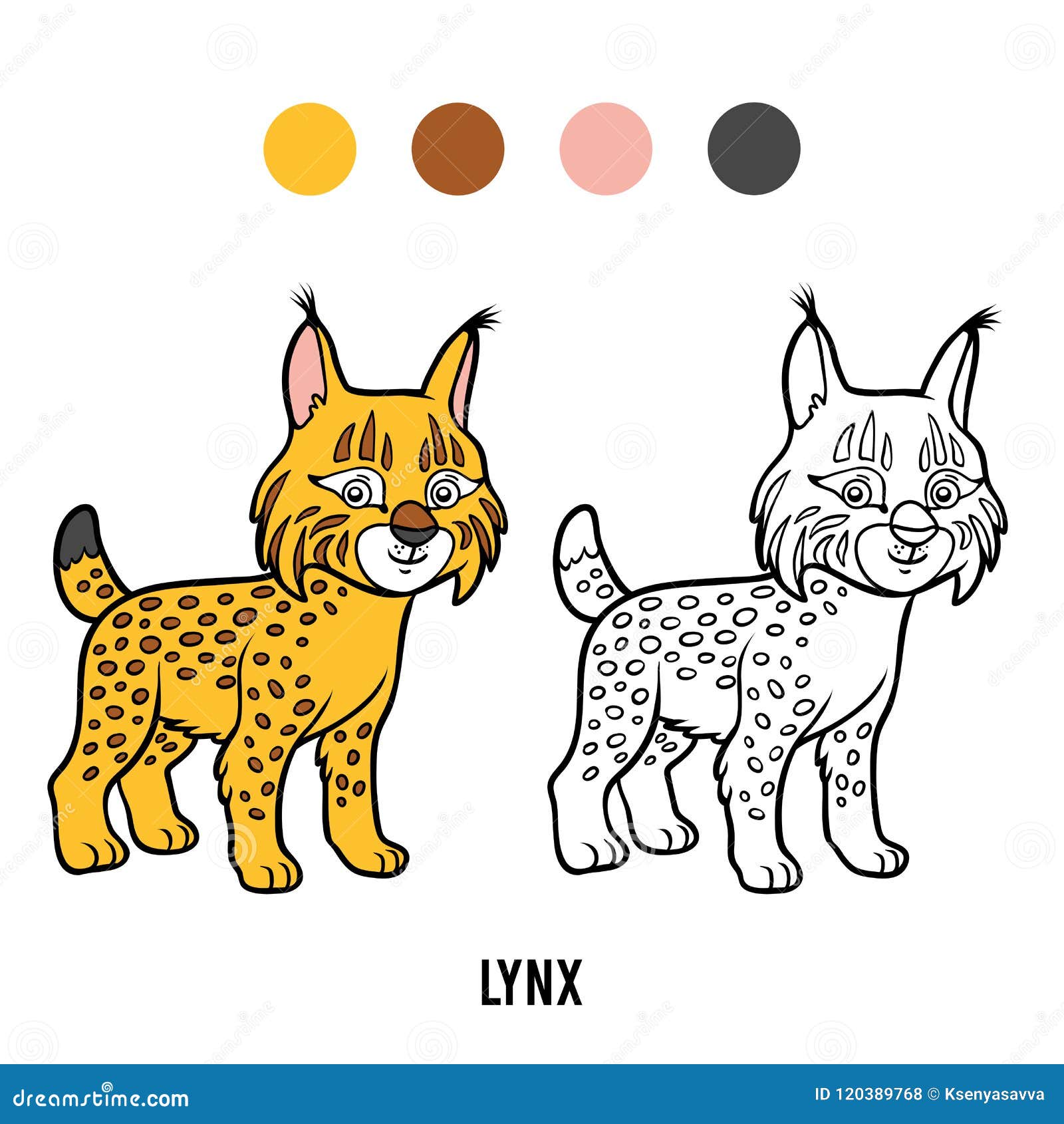 Coloring book lynx stock illustrations â coloring book lynx stock illustrations vectors clipart