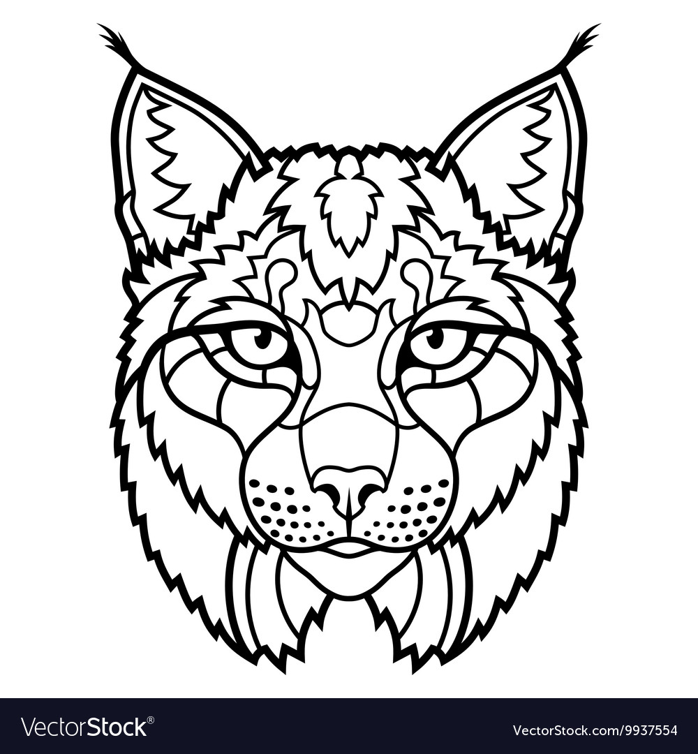 Wildcat lynx mascot head isolated sketch line art vector image