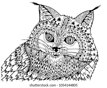 Adult bobcat over royalty