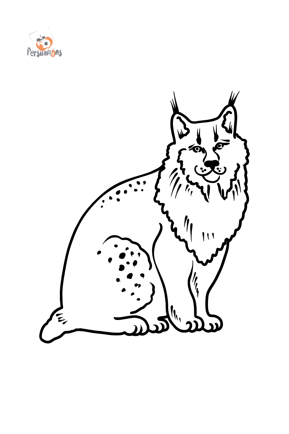 Lynx coloring page â color online for free