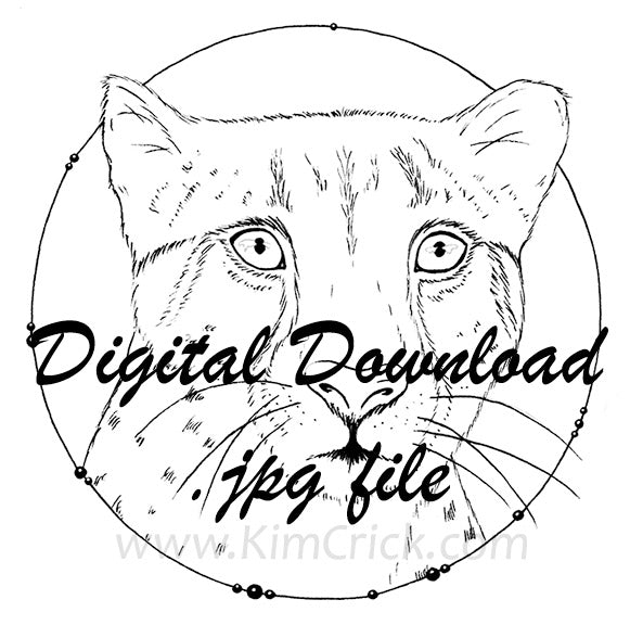 Digital file