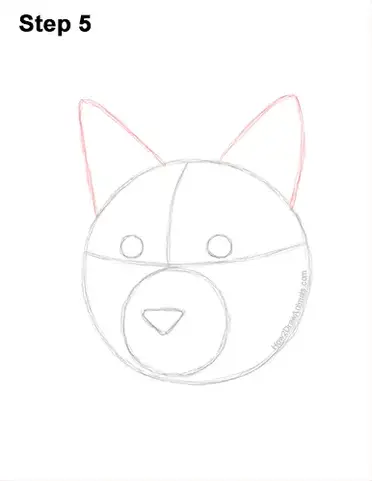 How to draw a lynx head detail video step