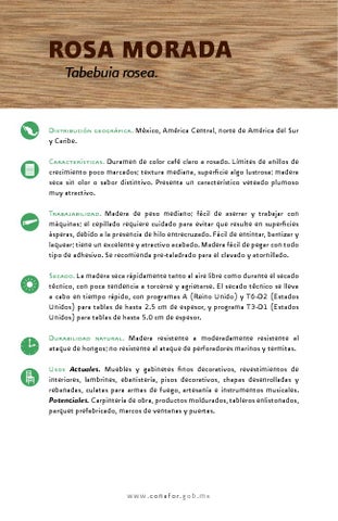 Catalogo de maderas en mexico by semarnat michoacãn