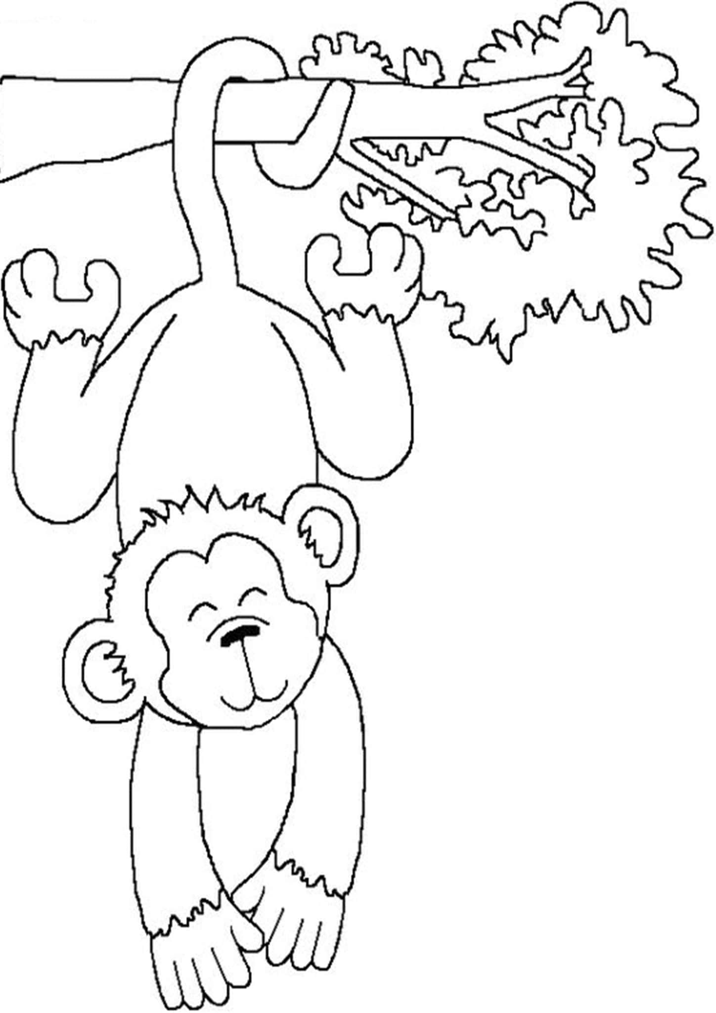 Free easy to print monkey coloring pages monkey coloring pages zoo coloring pages zoo animal coloring pages