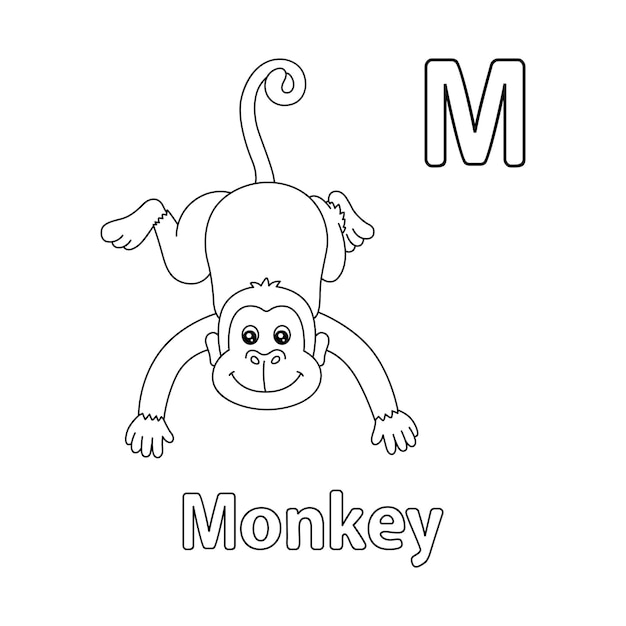 Premium vector monkey alphabet abc coloring page m