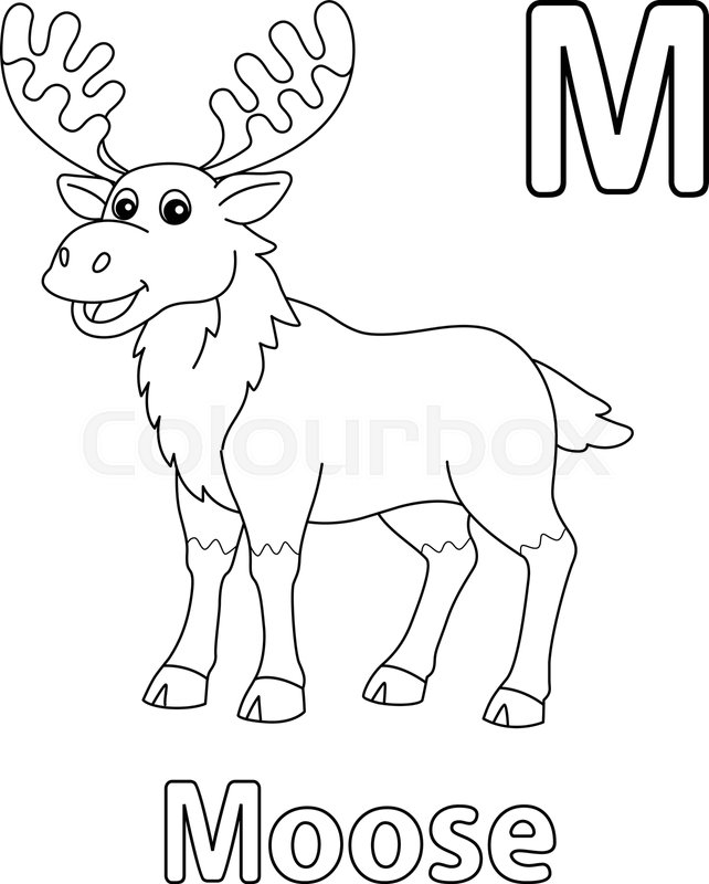 Moose alphabet abc coloring page m stock vector