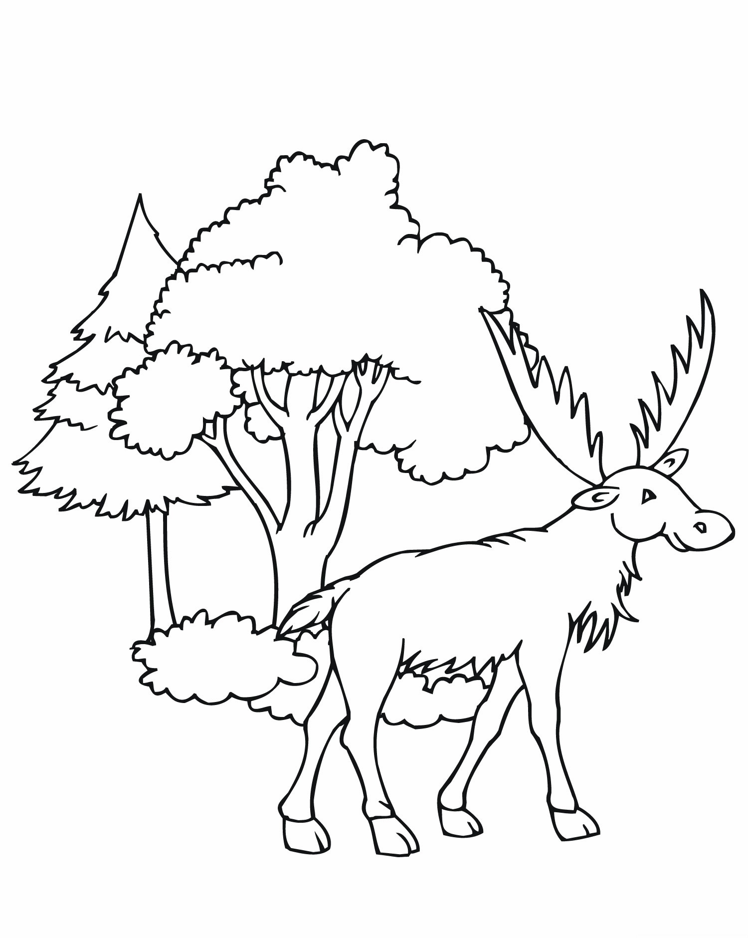 Free printable moose coloring pages for kids