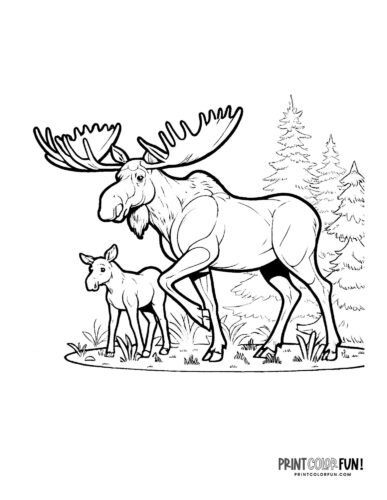 Moose coloring pages clipart drawings at