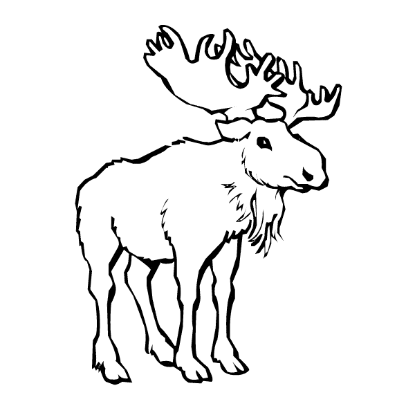 Moose coloring page