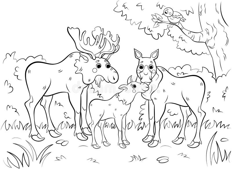 Moose coloring page stock illustrations â moose coloring page stock illustrations vectors clipart