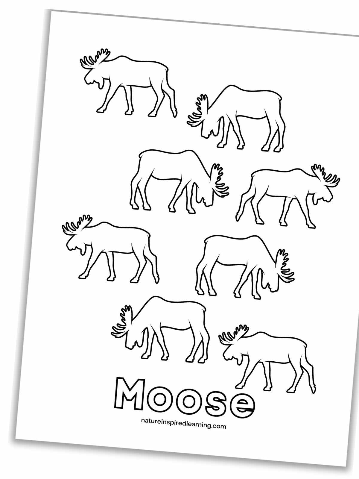 Moose coloring pages