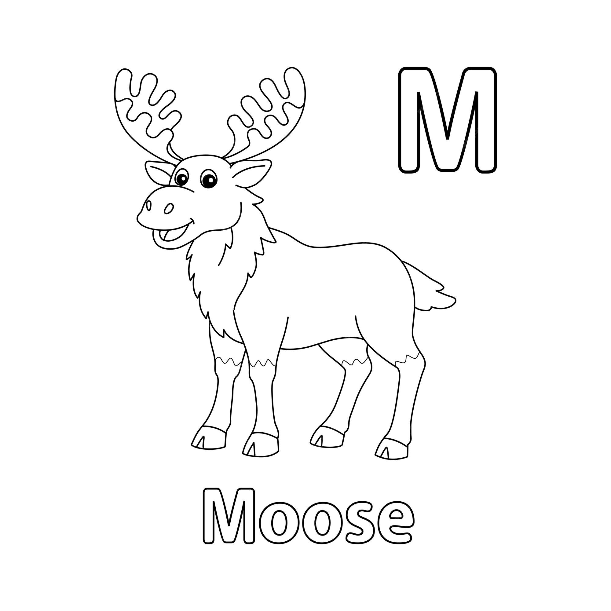 Premium vector moose alphabet abc coloring page m
