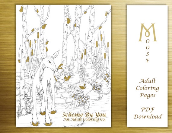 Woodland baby moose in the forest adult coloring book page instant download printable art
