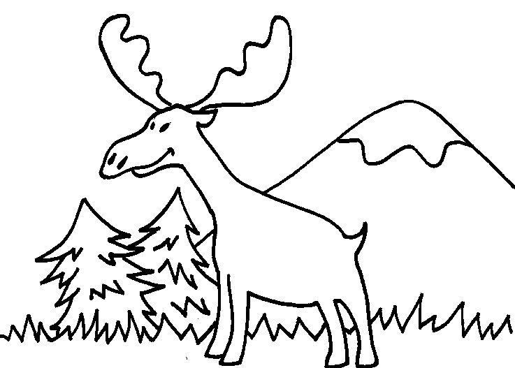 Moose coloring