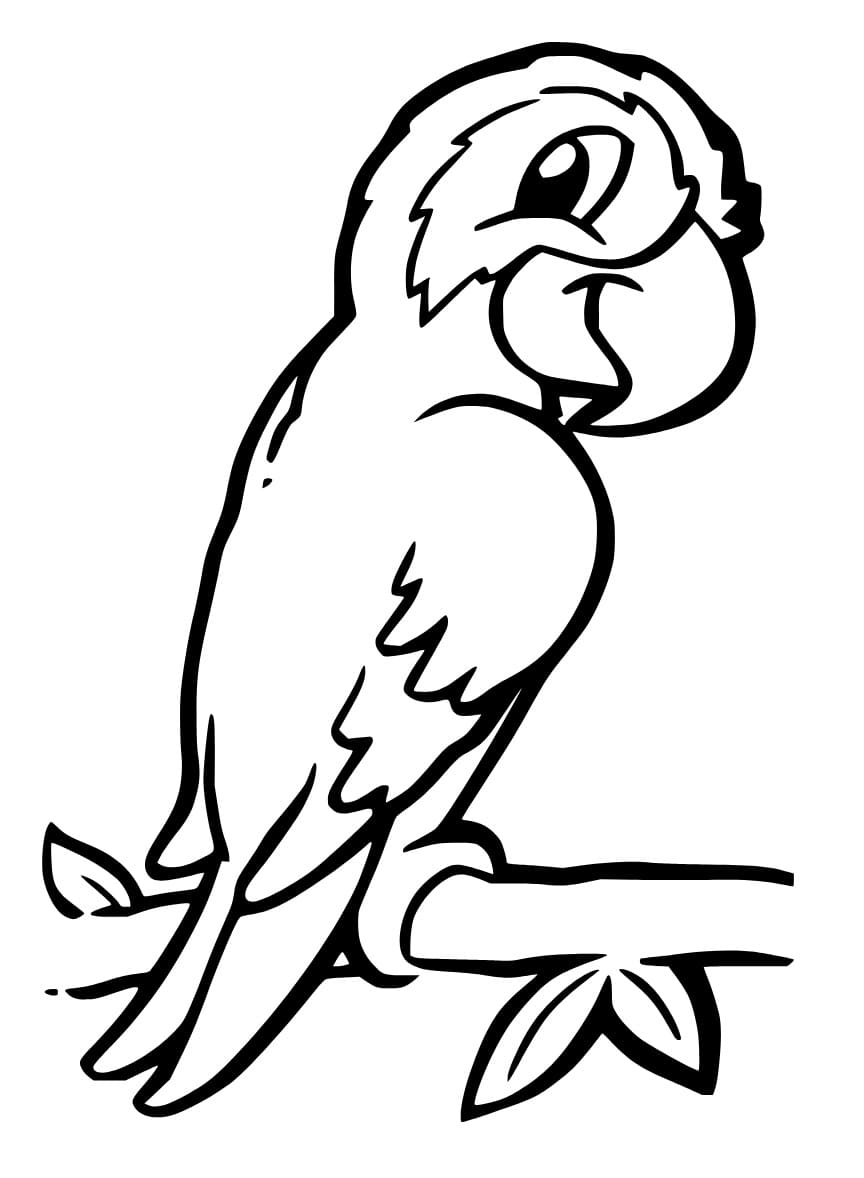 Cute macaw coloring page