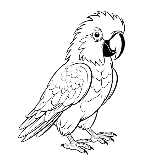 Premium vector macaw coloring pages for kid
