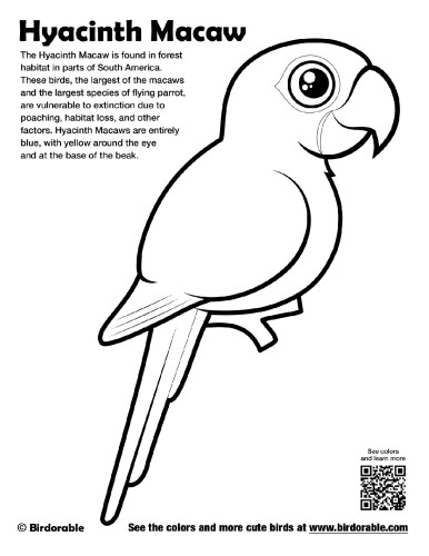 Hyacinth macaw coloring page by