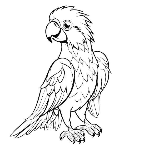 Premium vector macaw coloring pages for kid