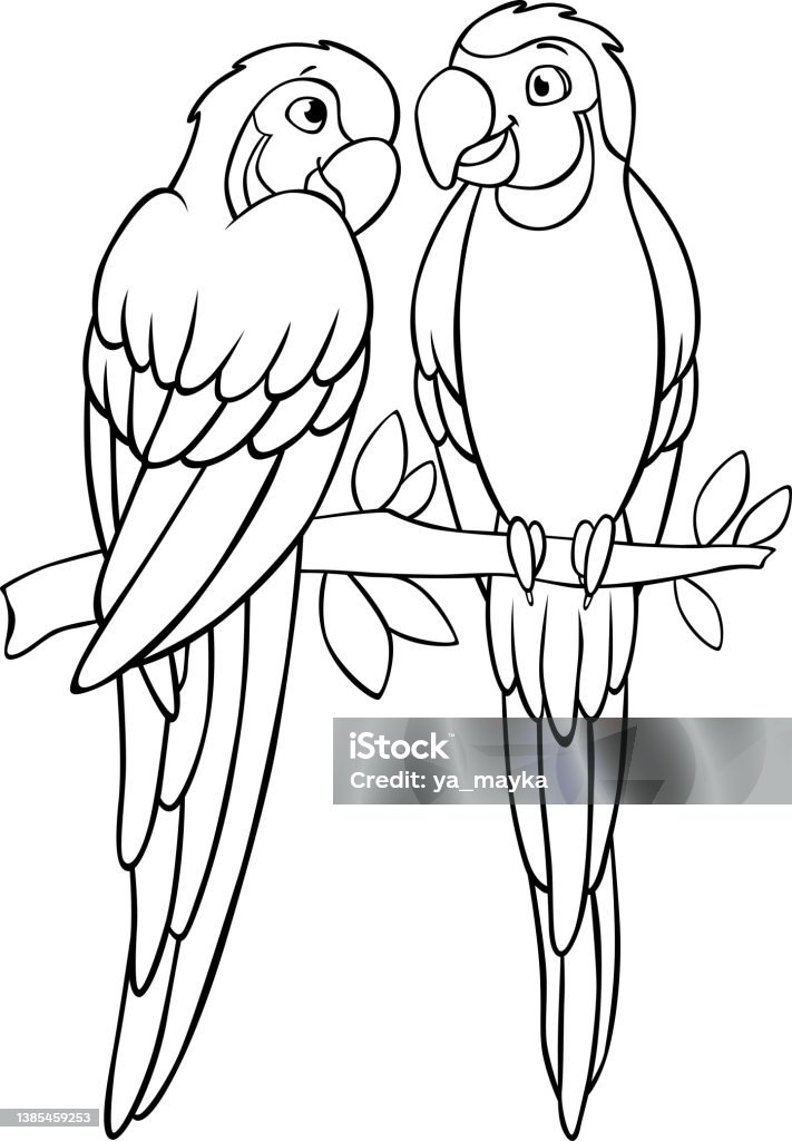 Coloring page two cute yellow macaw sits and smiles they are in love stock illustration