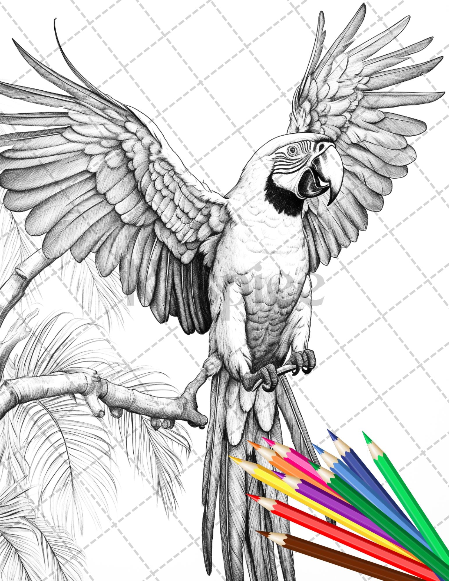 Tropical birds coloring book for adults grayscale coloring page p â coloring