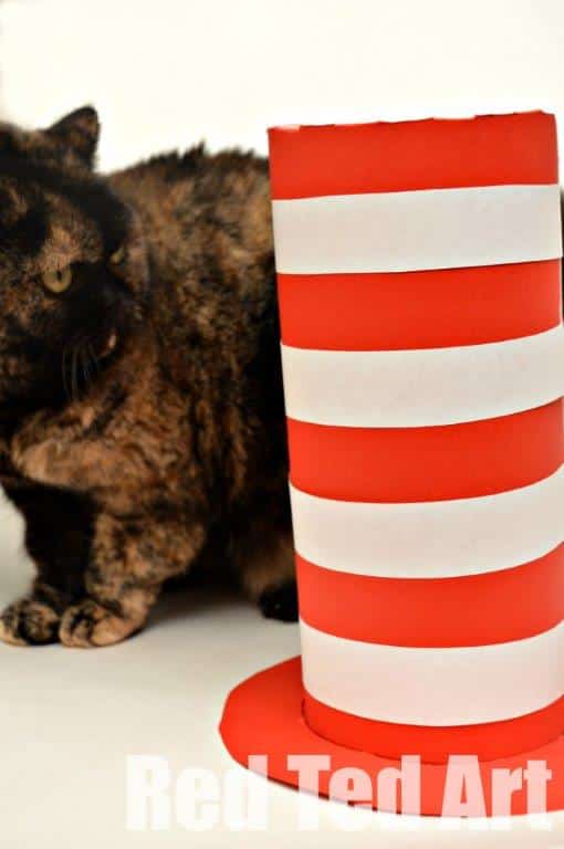 A quick cat in the hat hat