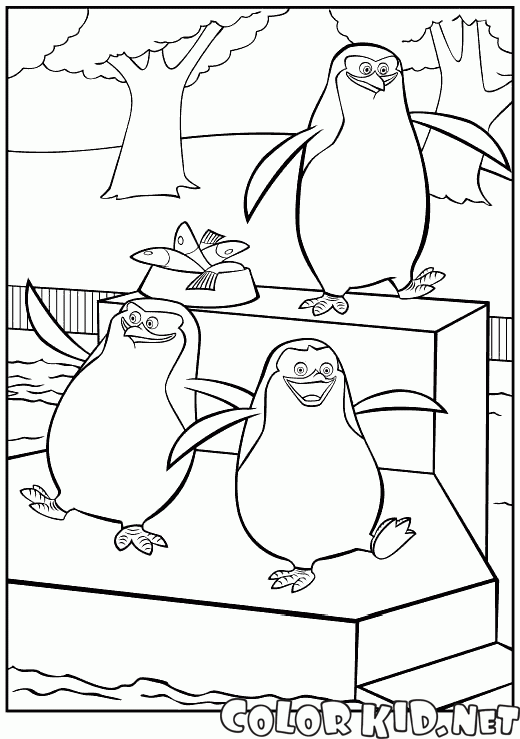 Coloring page