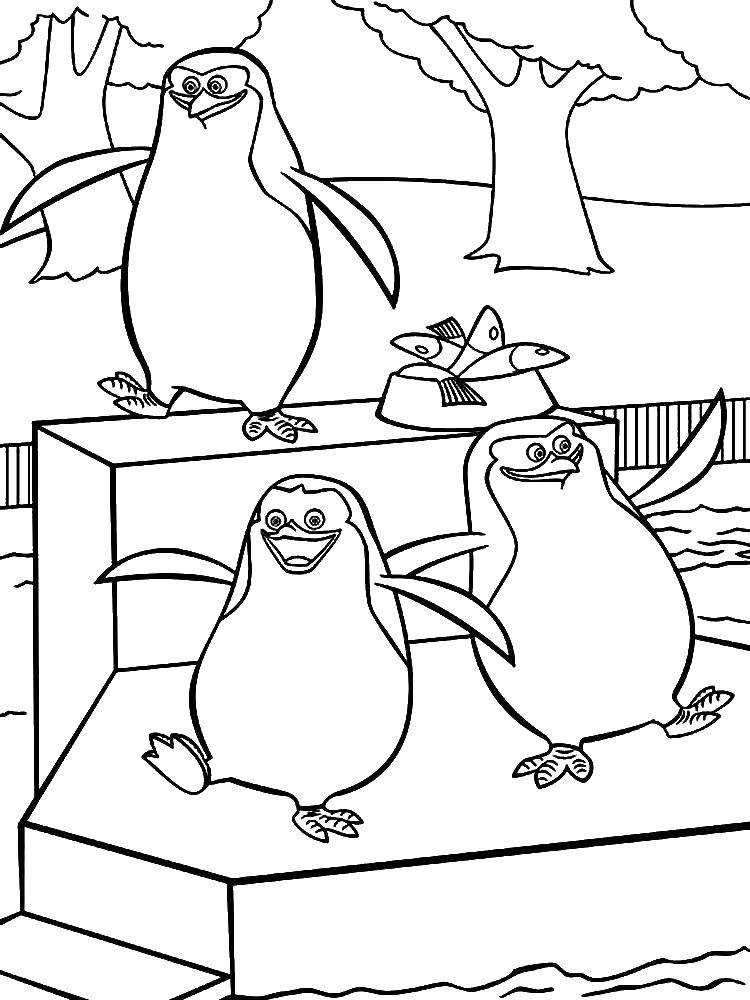 Online coloring pages penguin coloring the penguins of madagascar the penguin