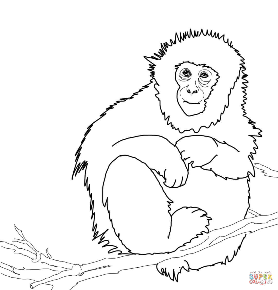 Dibujo de macaco japonãs para colorear dibujos para colorear imprimir gratis