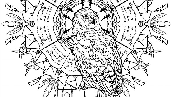 Snitchseeker on x photos harry potter magical creatures coloring book inside pages first look httpstcohijpwkqyw httpstcolbyfowucv x
