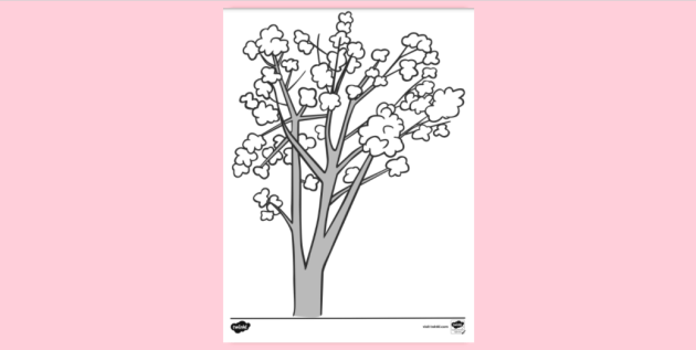 Magnolia tree louring sheet tree louring pages ks