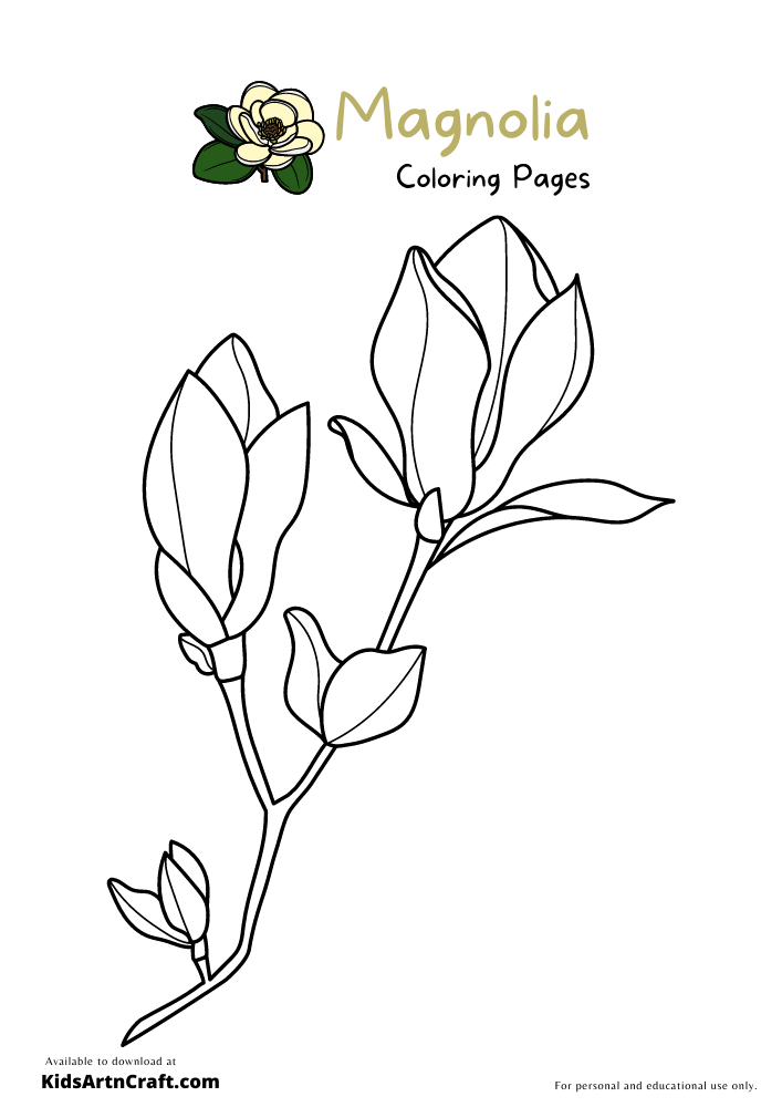 Magnolia coloring pages for kids â free printables