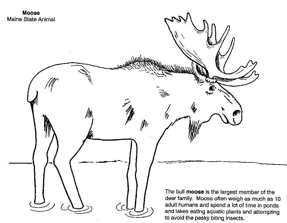 Symbols coloring book secretary of state kids page