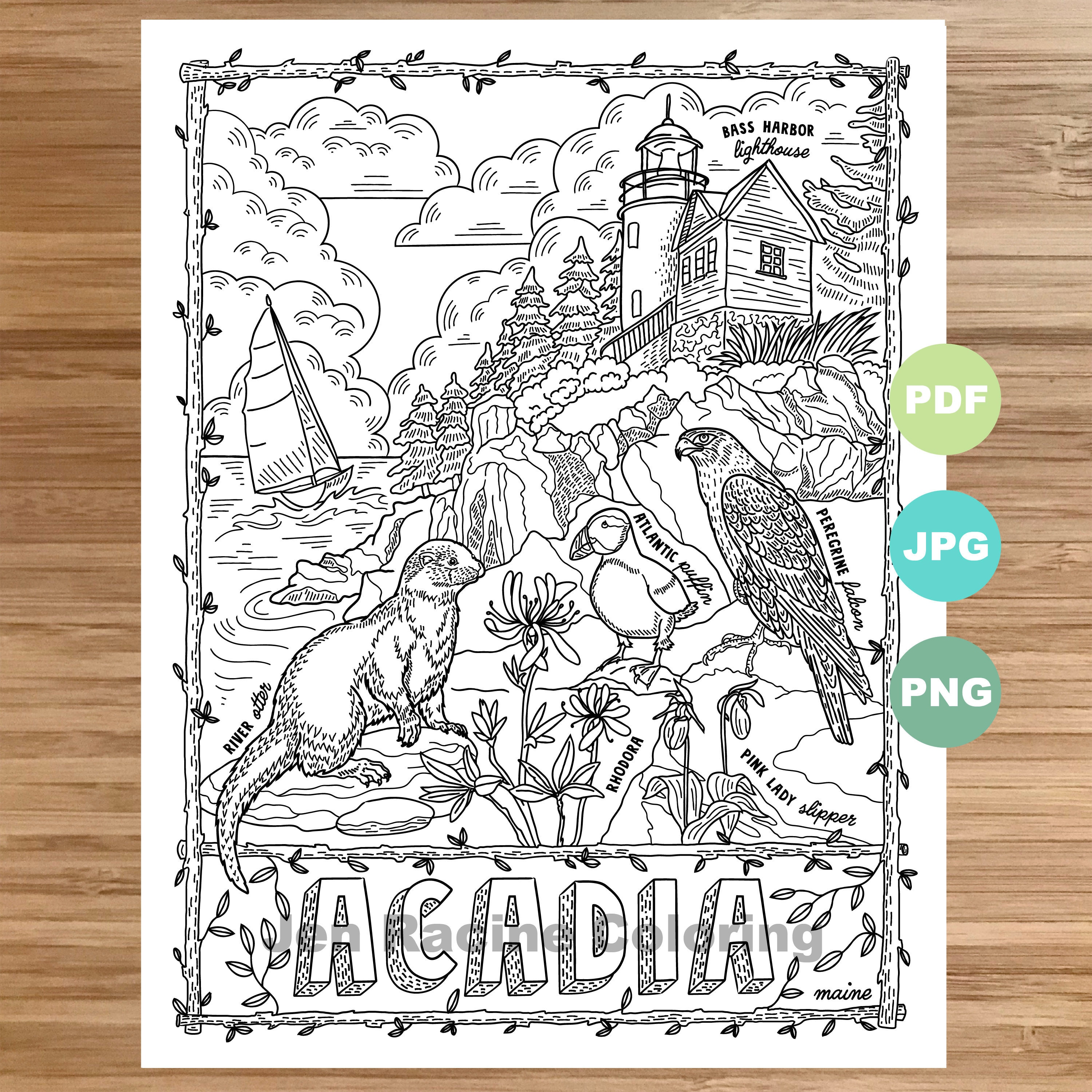 National park coloring page acadia maine animal art plants coloring page printable coloring pages for adults coloring pages for kids