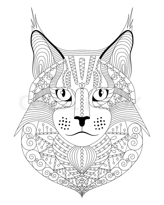 Hand drawn maine coon cat with ethnic doodle pattern antistress coloring page for adults vector illustration isolated on white stock vector