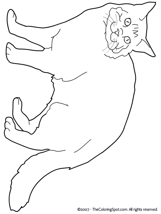 Maine coon coloring page audio stories for kids free coloring pages colouring printables