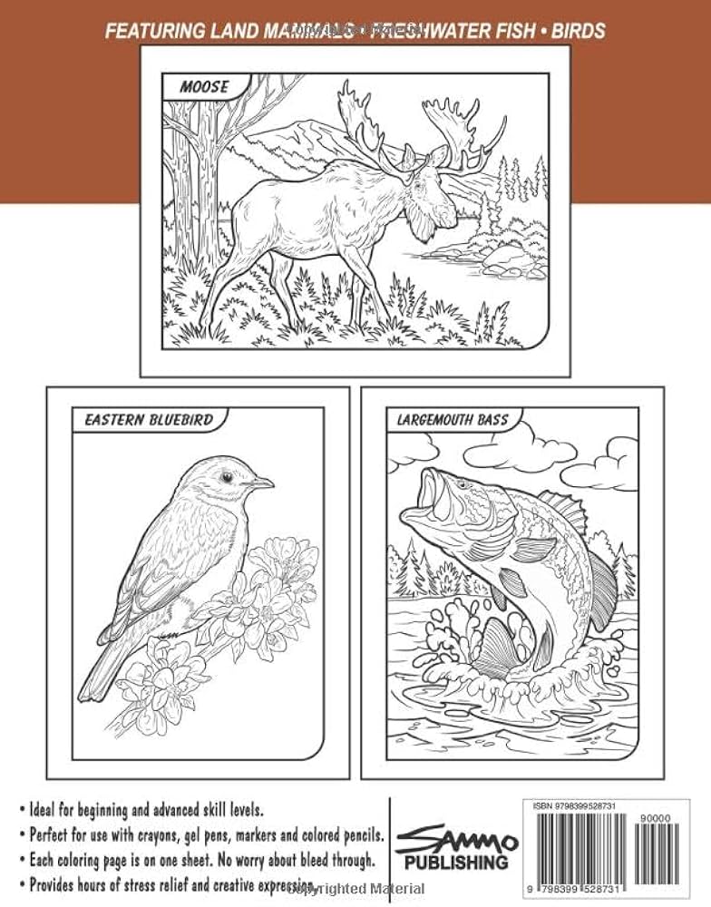 Wild animals of maine coloring book for kids teens adults featuring land mammals freshwater fish and birds to color morrison sam books