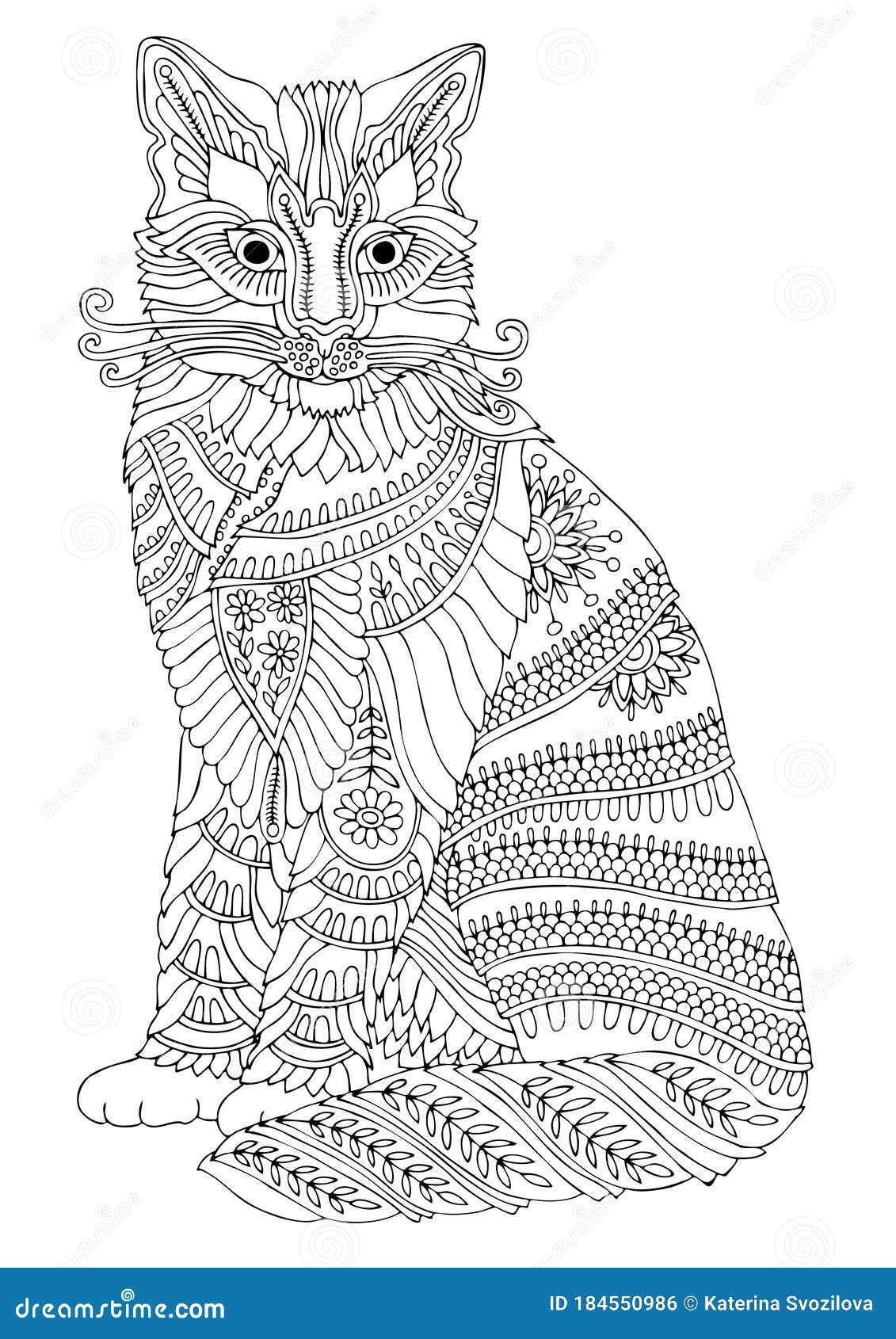Maine coon cat adult coloring page stock vector