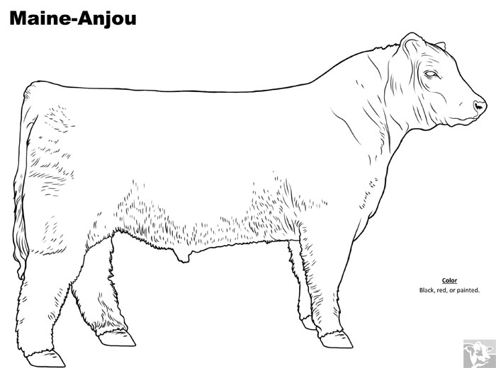 Breed coloring pages