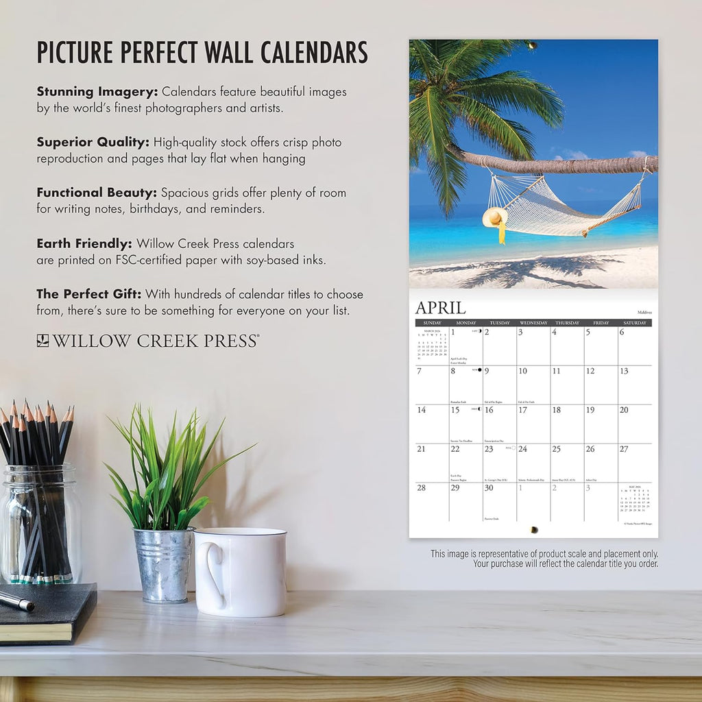 Maine coon cats monthly wall calendar