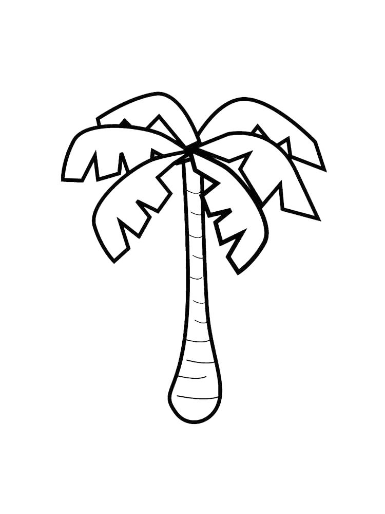 Palm tree coloring pages