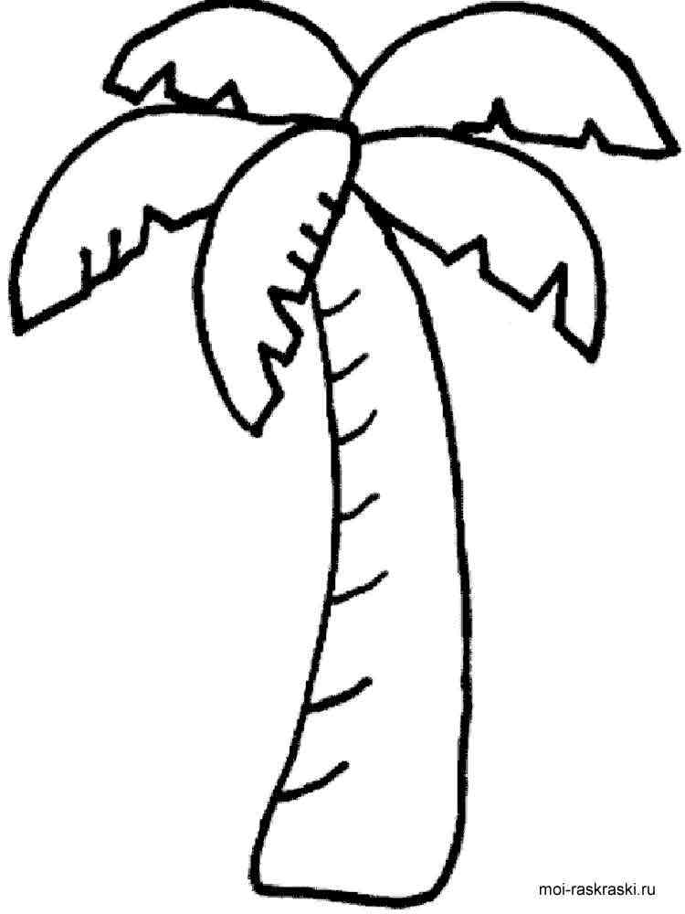 Palm coloring pages