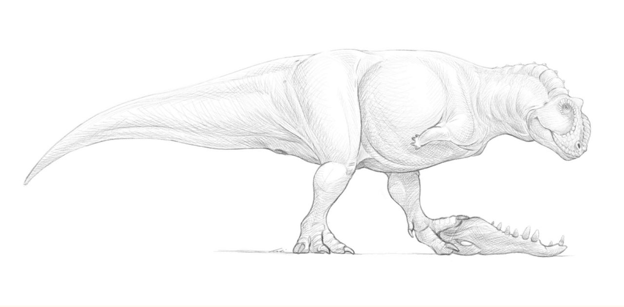 Majungasaurus crenatissimus by lokill on