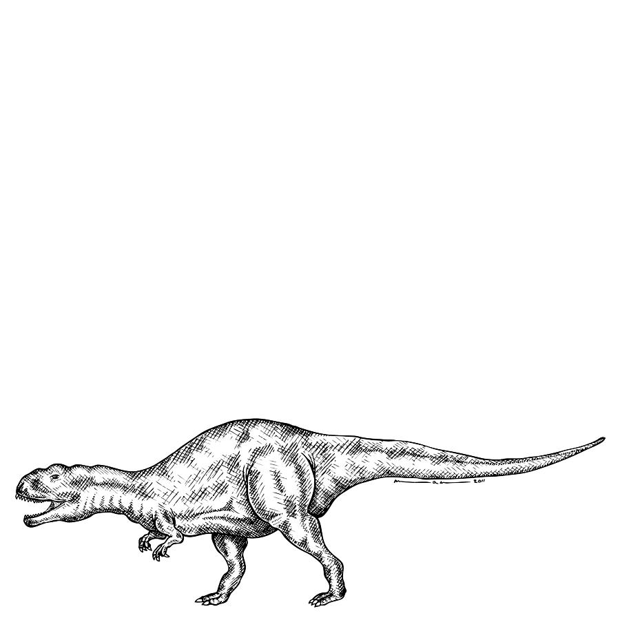 Majungasaurus drawing by karl addison