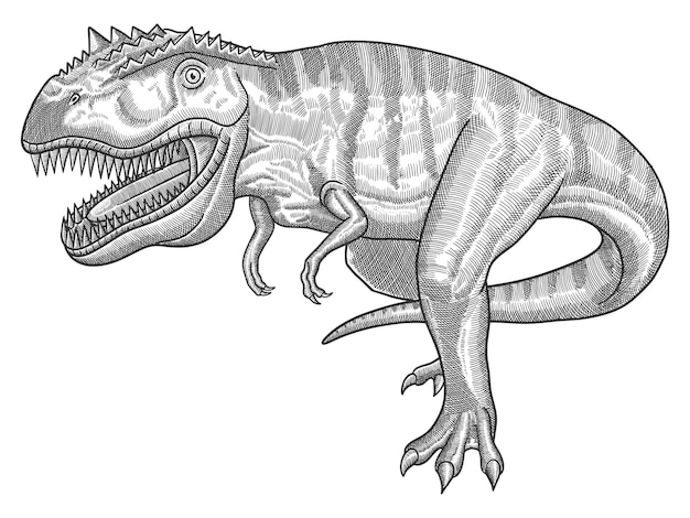 Premium vector vector illustration of tyrannosaurus with engraving style