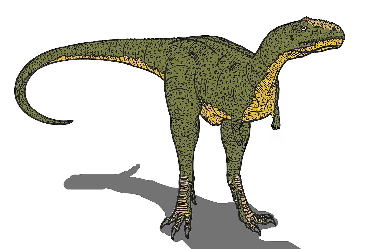 Filemajungasaurus ejvjpg