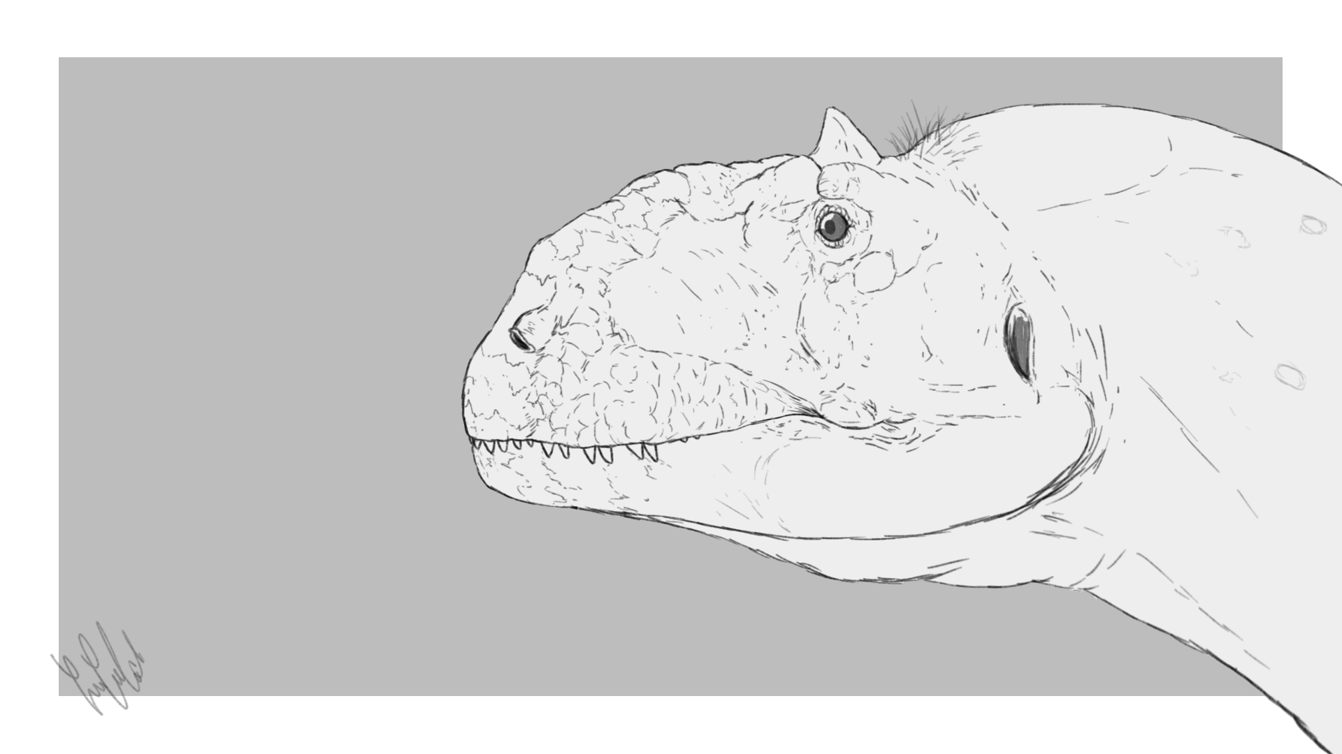 Ivaniofri on x majungasaurus crenatissimusð majungasaurus is a genus of abelisaurid theropod same family as carnotaurus that lived in madagascar majungasaurus carnotaurus paleoart paleontology art artwork sketch dinosaur dinosaurs