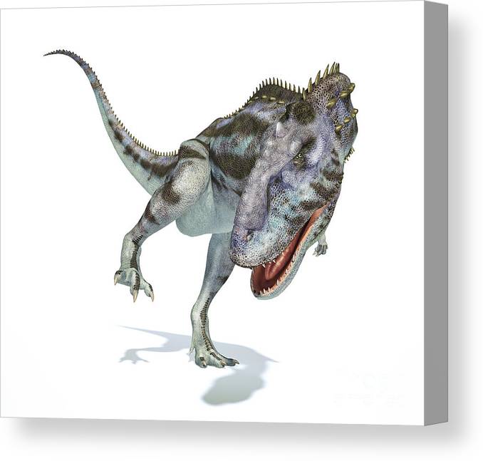 Majungasaurus dinosaur on white canvas print canvas art by leonello calvetti